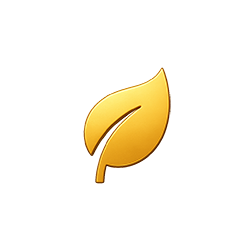 Финансы и успех